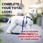 Load image into Gallery viewer, Nylon Dog Leash for Small and Medium Dogs 4 Ft x 4/5 in Wide NASA Design
