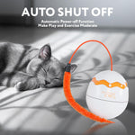 Load image into Gallery viewer, Interactive Cat Toy Dino Egg White Automatic Toy with 360 Degree Rotation Auto
