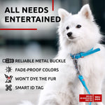Load image into Gallery viewer, Ultra Soft Rolled Leather Dog Collar for Small Dogs 8 10 in Neck Padded Dog
