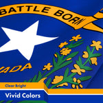 Load image into Gallery viewer, G128 2 Pack: Nevada NV State Flag  3x5 Ft  Printed 150D Polyester  Indoor/Outdoor, Vibrant Colors, Brass Grommets, Quality Polyester, Much Thicker More Durable Than 100D 75D Polyester
