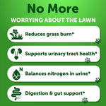 Load image into Gallery viewer, Grass Burn Spot Chews for Dogs 120 Count Lawn Urine Neutralizer