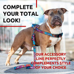 Load image into Gallery viewer, Nylon Dog Leash for Medium and Large Dogs 4 Ft x 1 inch Wide Summer Color
