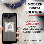 Load image into Gallery viewer, Purple Rolled Leather Dog Collar Padded All Sizes 10–13 in Neck