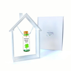 Tiny Magical Message in a Bottle Gift Idea Classy Inspirational Gifts for Him and Her Unique Presents for Women and Men (Green Clover You're My Lucky Charm in Wooden Frame)