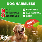 Load image into Gallery viewer, Dog Hip &amp; Joint Chews Arthritis Pain Relief Glucosamine Chondroitin MSM &amp; Turmeric