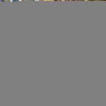 Load image into Gallery viewer, Lightweight Dog Vest M Size Mid-Back Coverage 26 in Chest x 21 in Neck