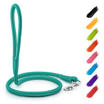 Load image into Gallery viewer, WAUDOG Rolled Leather Dog Leash 4Ft * 0.5 in for Small Medium and Large Dogs Heavy Duty Leather Puppy Leash for Outdoor Walking Running Training Strong Dog Leashes for Large Breed Dogs (Mint)
