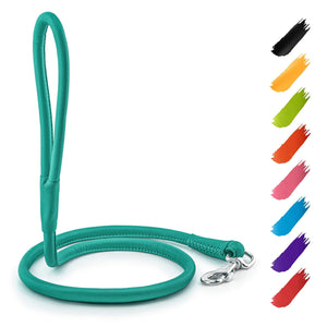 WAUDOG Rolled Leather Dog Leash 4Ft * 0.5 in for Small Medium and Large Dogs Heavy Duty Leather Puppy Leash for Outdoor Walking Running Training Strong Dog Leashes for Large Breed Dogs (Mint)
