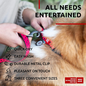 Nylon Dog Leash for Small Dogs and Medium Dogs 4 Ft Strong Dog Leash for Large Dogs Heavy Duty Dog Leashes for Large Breed Dogs & Puppy Leash for Small Boy & Girl Dogs
