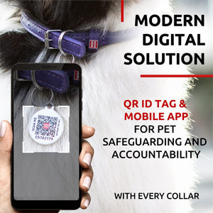 Ultra Soft Rolled Leather Dog Collar for Small Dogs Soft Padded Dog Collars for Medium Dogs Puppy Collars for Large Breed Dogs Male and Female Dog Collar
