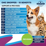 Load image into Gallery viewer, Cat &amp; Dog Liquid Multivitamin Glucosamine &amp; Cranberry