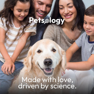 Probiotics for Dogs 170 Chews Dog Digestive Enzymes Prebiotics Support Gut