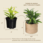 Load image into Gallery viewer, Jute Small Plant Pots Set of 3, 4.5 inches, Natural Jute
