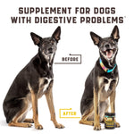 Load image into Gallery viewer, Green &amp; Beautiful Lawn: Reduce yellow patches with green lawn chews for healthy dogs! Easy lower nitrogen in dog urine and deal with unwanted yellow burn spots. Try an amazing grass saver for a clean and vibrant yard! Gut Health for Dogs: Burn spots