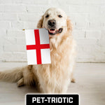 Load image into Gallery viewer, G128 12 Pack Handheld England English Stick Flags  12x18 In  Printed 150D Polyester, Country Flag, Solid Wooden Stick, Spear Gold Tip