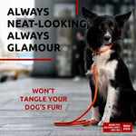 Load image into Gallery viewer, Rolled Leather Dog Leash 4 ft x 0.4 in All Sizes Orange
