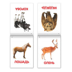 Load image into Gallery viewer, Doman Method Russian Flashcard Book Set for Learning Set 8 Topics from Farm Animals to Alphabet