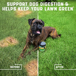 Load image into Gallery viewer, Green Lawn Chews for Dogs Urine Neutralizer Cranberry ACV &amp; Enzymes