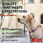 Load image into Gallery viewer, Nylon Dog Leash for Small Dogs and Medium Dogs 4 Ft Strong Dog Leash for Large Dogs Heavy Duty Dog Leashes for Large Breed Dogs &amp; Puppy Leash for Small Boy &amp; Girl Dogs
