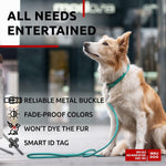 Load image into Gallery viewer, Ultra Soft Rolled Leather Dog Collar for Small Dogs Soft Padded Dog Collars for Medium Dogs Puppy Collars for Large Breed Dogs Male and Female Dog Collar
