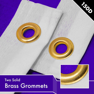 Solid Violet Color Flag 3x5 Ft 10Pack Printed 150D Polyester By G128