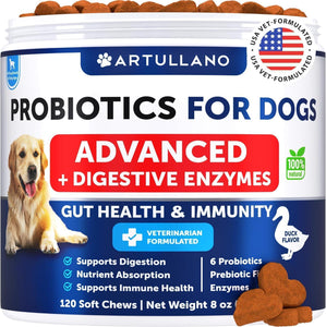 Probiotics for Dogs   Support Gut Health Itchy Skin Allergies Immunity Yeast