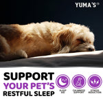 Load image into Gallery viewer, Melatonin Calming Chews for Dogs 170 Count Anxiety Relief