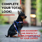 Load image into Gallery viewer, Nylon Dog Leash for Small Dogs and Medium Dogs 4 Ft x 3/5 inch Wide NASA Color
