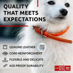 Load image into Gallery viewer, Rolled Leather Dog Collar XSmall Dogs 8–10 in Neck Orange