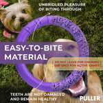 Load image into Gallery viewer, Puller Outdoor Dog Ring Toys Dog Fetch Toy Mini 2 Rings for Small Dogs Purple
