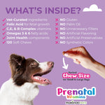 Load image into Gallery viewer, Dog Prenatal Vitamins 120 Soft Chews Multivitamin Folic Acid Zinc B Complex DHA &amp; EPA Omegas and Probiotics Supplement for Pregnant Nursing Breastfeeding pet Mom &amp; Puppy Vitamin Formula
