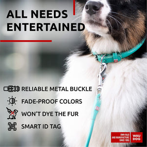 WAUDOG Ultra Soft Rolled Leather Dog Collar for Small Dogs Soft Padded Dog Collars for Medium Dogs Puppy Collars for Large Breed Dogs Male and Female Dog Collar