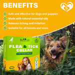 Load image into Gallery viewer, Flea &amp; Tick Collar for Dogs 6-Month Protection Essential Oil Repellent 1 Pack