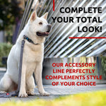 Load image into Gallery viewer, WAUDOG Recycled Cotton Dog Leash 6 Ft 10 Ft Eco Friendly Collar for Small Medium &amp; Large Dogs Reflective Dog Leash for Medium Dogs Strong Leashes for Large Breed Dogs Puppy Leash for Small Dogs
