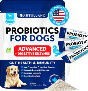 Probiotic Powder for Dogs   Support Gut Health Itchy Skin Allergies Immunity