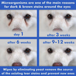 Load image into Gallery viewer, Pet Eye Wipes for Dogs Cats Puppies &amp; Kittens 100 Count Medicated Removes Dirt
