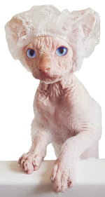 Load image into Gallery viewer, Shower Caps for Sphynx Cats and Small Pets 20pcs Keep Ears Dry While Bathing
