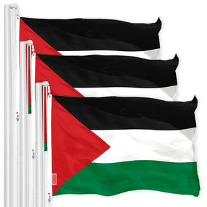 Palestine Palestinian Flag 3x5 Ft 3Pack 150D Printed Polyester By G128