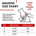 Load image into Gallery viewer, Waterproof Dog Harness Adjustable 24–35 in Metal Clasp &amp; QR Tag Orange