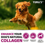 Load image into Gallery viewer, Collagen for Dogs Hip and Joint Supplement Skin and Coat 170 Soft Chews