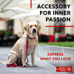 Load image into Gallery viewer, Nylon Dog Leash for Small Dogs and Medium Dogs 4 Ft Strong Dog Leash for Large Dogs Heavy Duty Dog Leashes for Large Breed Dogs &amp; Puppy Leash for Small Boy &amp; Girl Dogs
