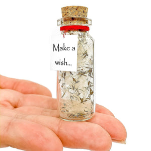 Tiny Magical Message in a Bottle Gift Idea Inspirational Gifts Make a Wish Gift