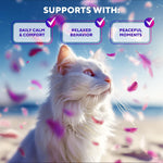 Load image into Gallery viewer, Calming Pheromone Spray Scratch Repellent for Cats 100 ml 2 pack Reduces Scratching Furniture Pee During Travel Fireworks Thunder Vet Zone Helps with Stress Fighting Hiding