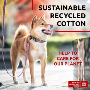 WAUDOG Recycled Cotton Dog Leash 6 Ft 10 Ft Eco Friendly Collar for Small Medium & Large Dogs Reflective Dog Leash for Medium Dogs Strong Leashes for Large Breed Dogs Puppy Leash for Small Dogs