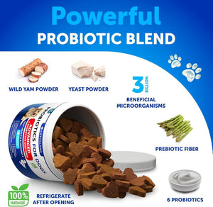 Probiotics for Dogs   Support Gut Health Itchy Skin Allergies Immunity Yeast