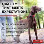 Load image into Gallery viewer, Waterproof Dog Collar Adjustable 17–28 in Neck x 1 3/5 in Wide Buckle &amp; QR Tag Red