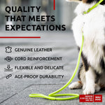 Load image into Gallery viewer, WAUDOG Rolled Leather Dog Leash 4Ft * 0.5 in for Small Medium and Large Dogs Heavy Duty Leather Puppy Leash for Outdoor Walking Running Training Strong Dog Leashes for Large Breed Dogs (Green)
