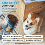 Load image into Gallery viewer, Probiotics for Dogs   Dog Probiotic Chews for Digestive and Gut Health Dental Immune System Support   Chewable Prebiotic Soft Treats   Wild Yam Yeast Powder   Diarrhea and Bowel Support Supplement