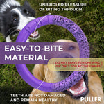 Load image into Gallery viewer, Puller Outdoor Dog Ring Toys Dog Fetch Toy for Medium Dogs MIDI Size 2 Rings
