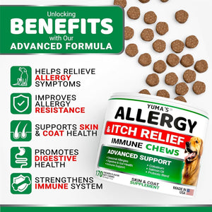 YUMA'S 2 Pack Dog Allergy Relief Chews Dog Itching Skin Relief Treatment Pills Anti Itch for Dogs Itchy and Paw Licking Dry Skin & Hot Spots Omega 3 Fish Oil Skin & Coat Supplement